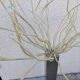 Vintage Stranne IKEA floor lamp - 2000s Vintage Design