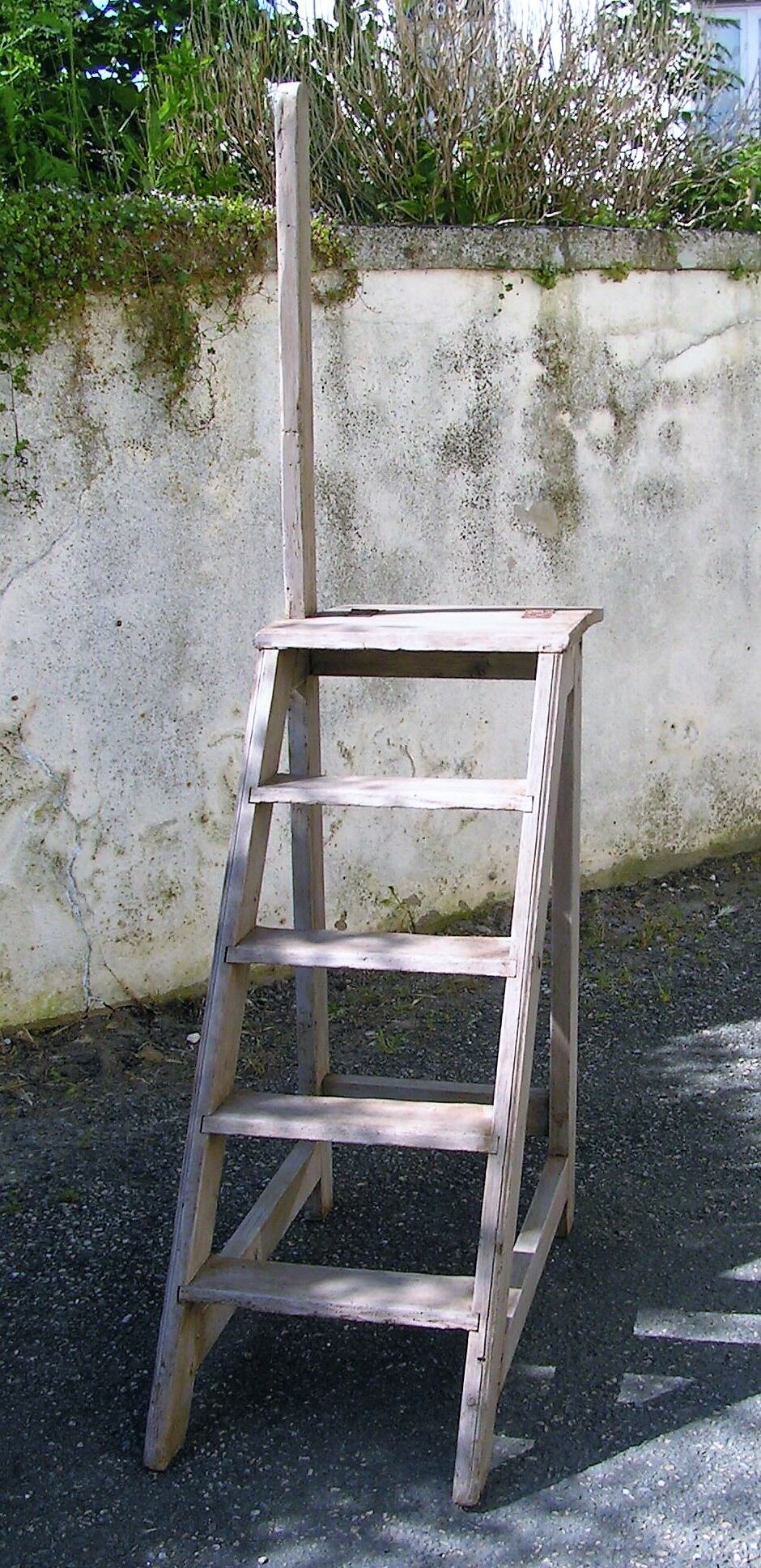 Library ladder