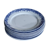 10 antique U&C Sarreguemines dinner plates - Mimosa model