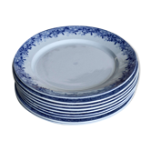 10 assiettes plates antiques U&C Sarreguemines modèle Mimosa