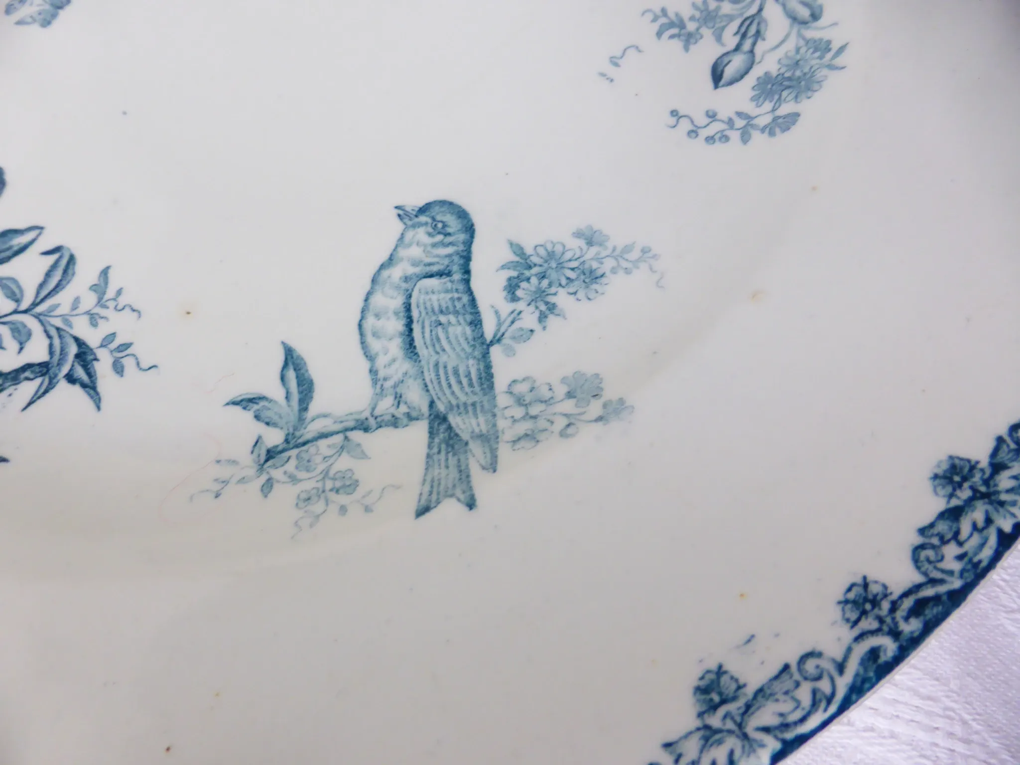 Round ironstone plate from LG Clairefontaine model Bengali 210885