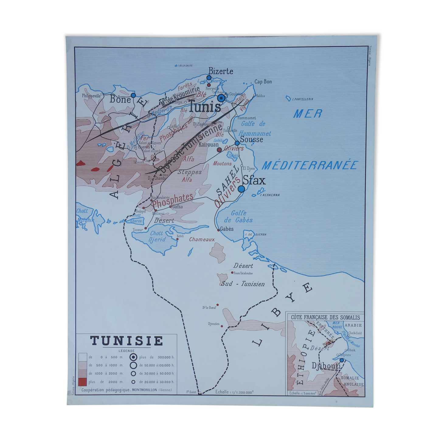 Old poster-school map Rossignol year 50 Tunisia, Algeria