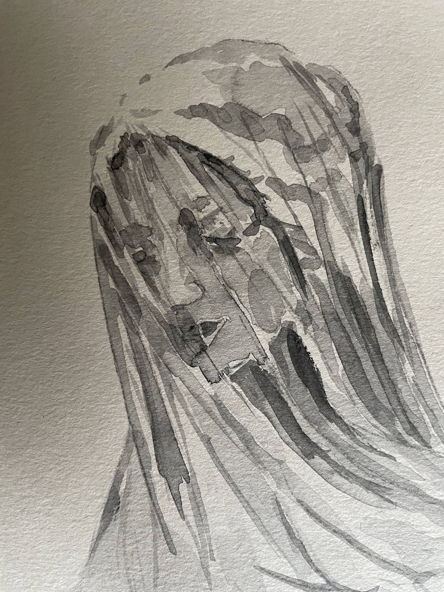 Painting signed watercolor monochrome sepia study statue of “the veiled virgin by Giovanni Strazza”