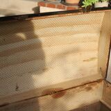 Large old curved trunk