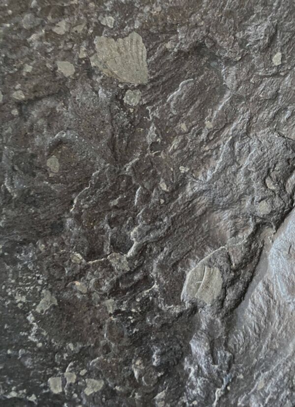 Table basse en ardoise et chrome par le Dr Peter Daenert, années 1970