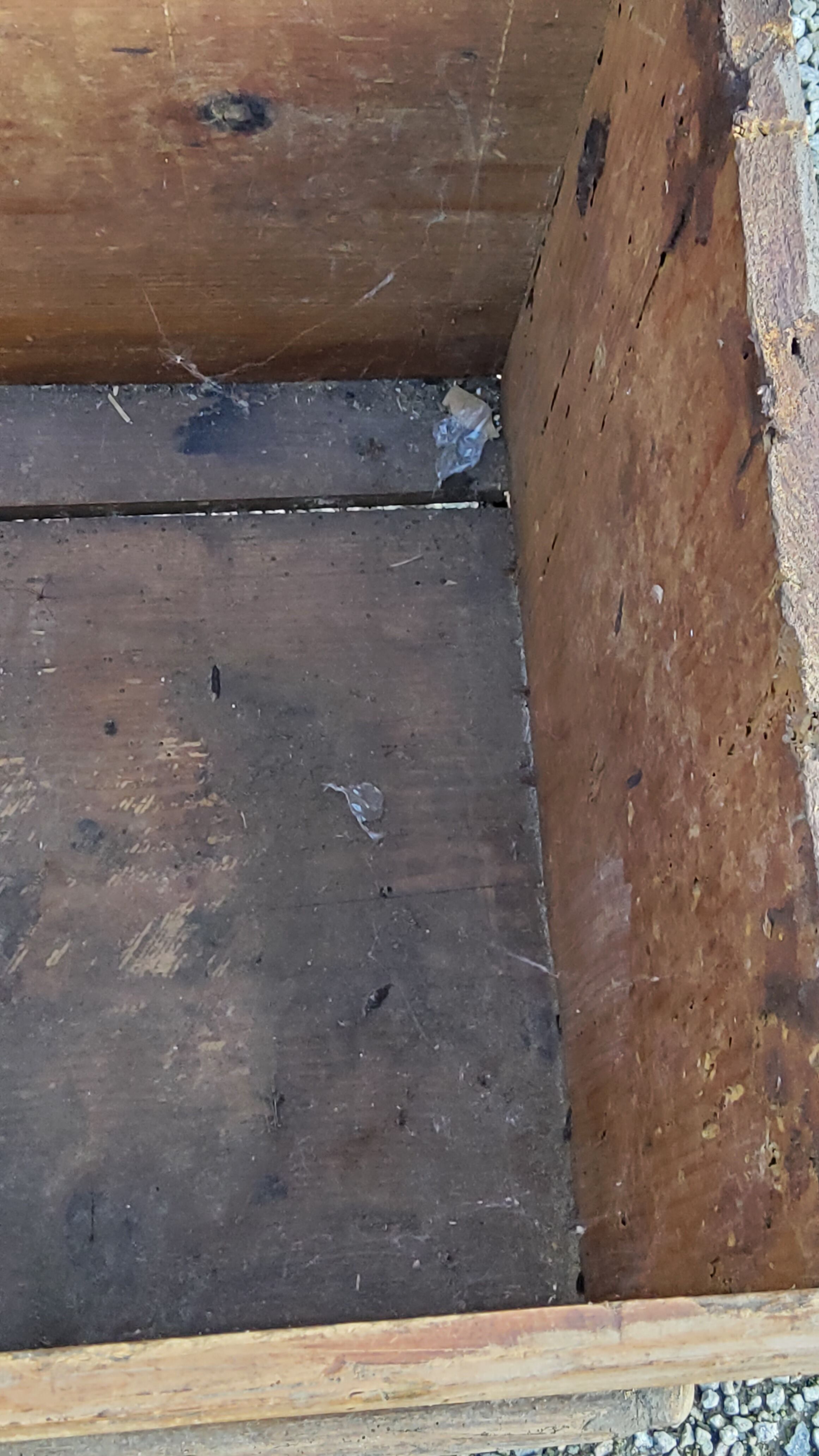 Alsatian polychrome wedding chest eighteenth -nineteenth century