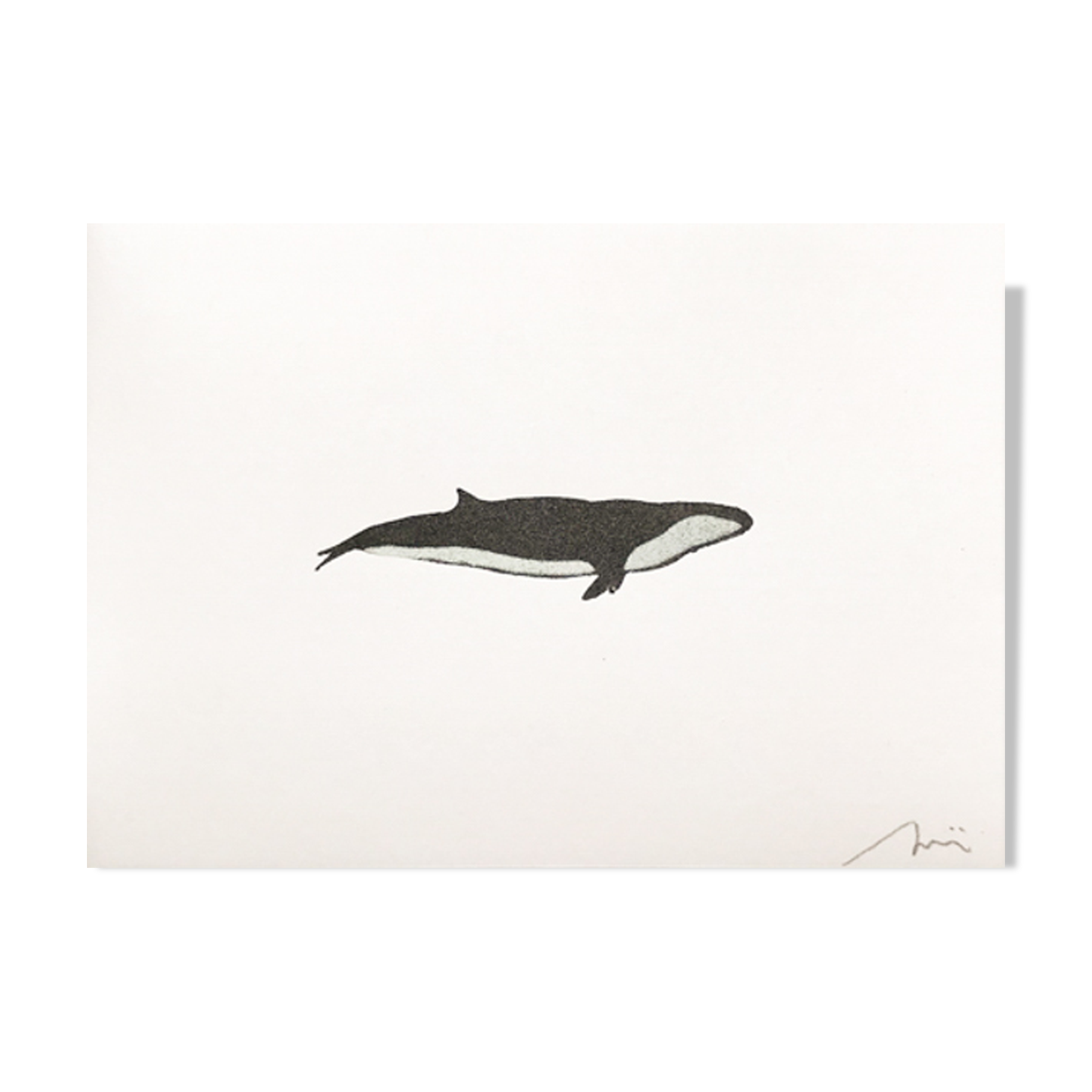 Illustration whale