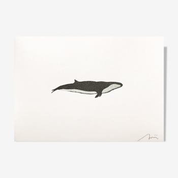 Illustration baleine