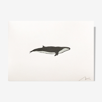 Illustration whale