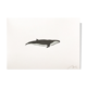 Illustration whale