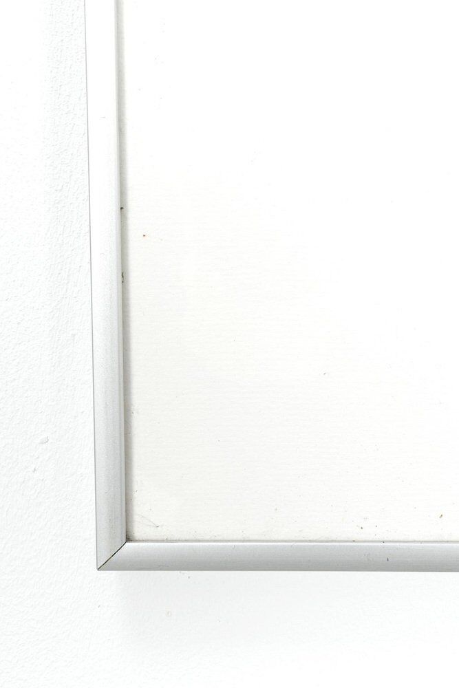Horst Janssen, Nature morte florale, Aluminium