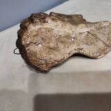 Head of satire in plaster