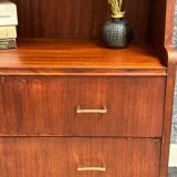 Vintage Scandinavian bookcase