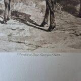 Engraving of a deer hunt by Rosa Bonheur