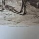 Gravure chasse cerfs Rosa Bonheur