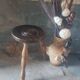Vintage solid wood tripod stool