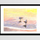 Brunswick Seagulls - A4 - Marine Illustration - Sea - Bird - Sea Birds