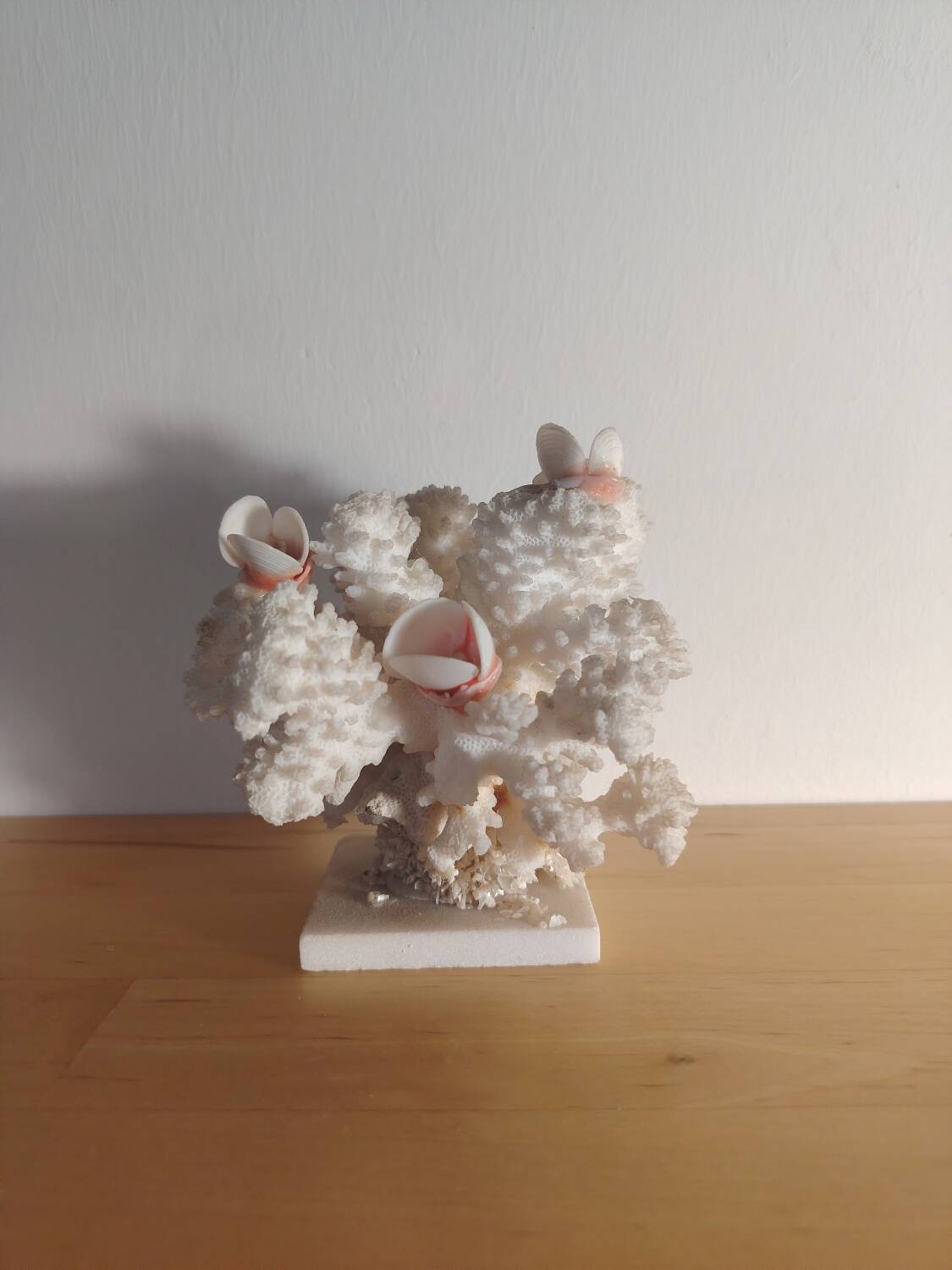 Antique white coral adorned with pink seashells