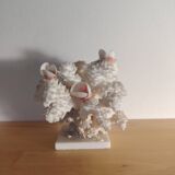 Antique white coral adorned with pink seashells