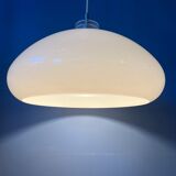 Space-age mushroom suspension