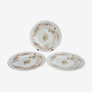 Lot de trois assiettes anglaises anciennes Cauldon avec motifs de fleurs et baies