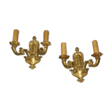 Graceful golden wall appliques