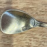 Salt spoon