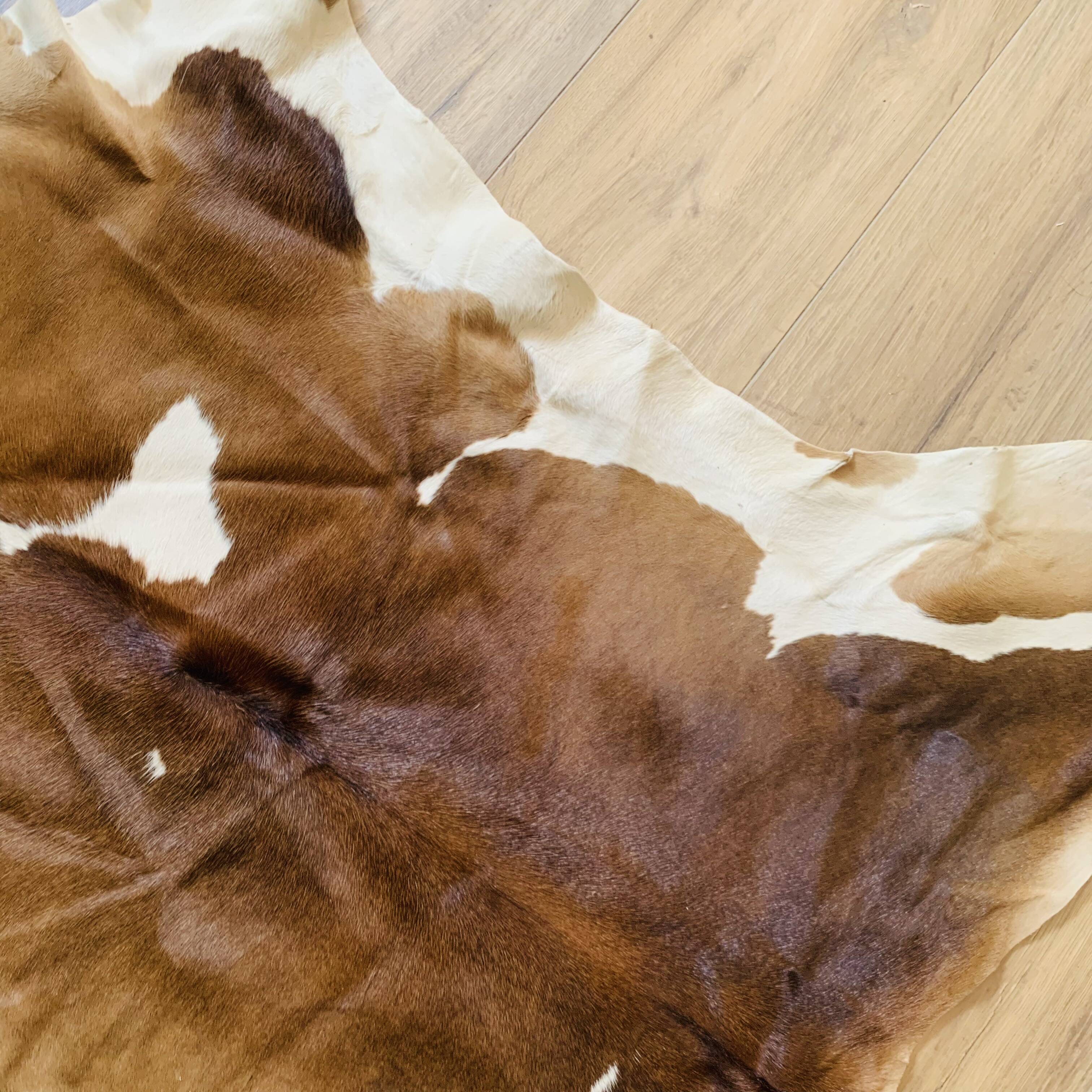 Cowhide rug