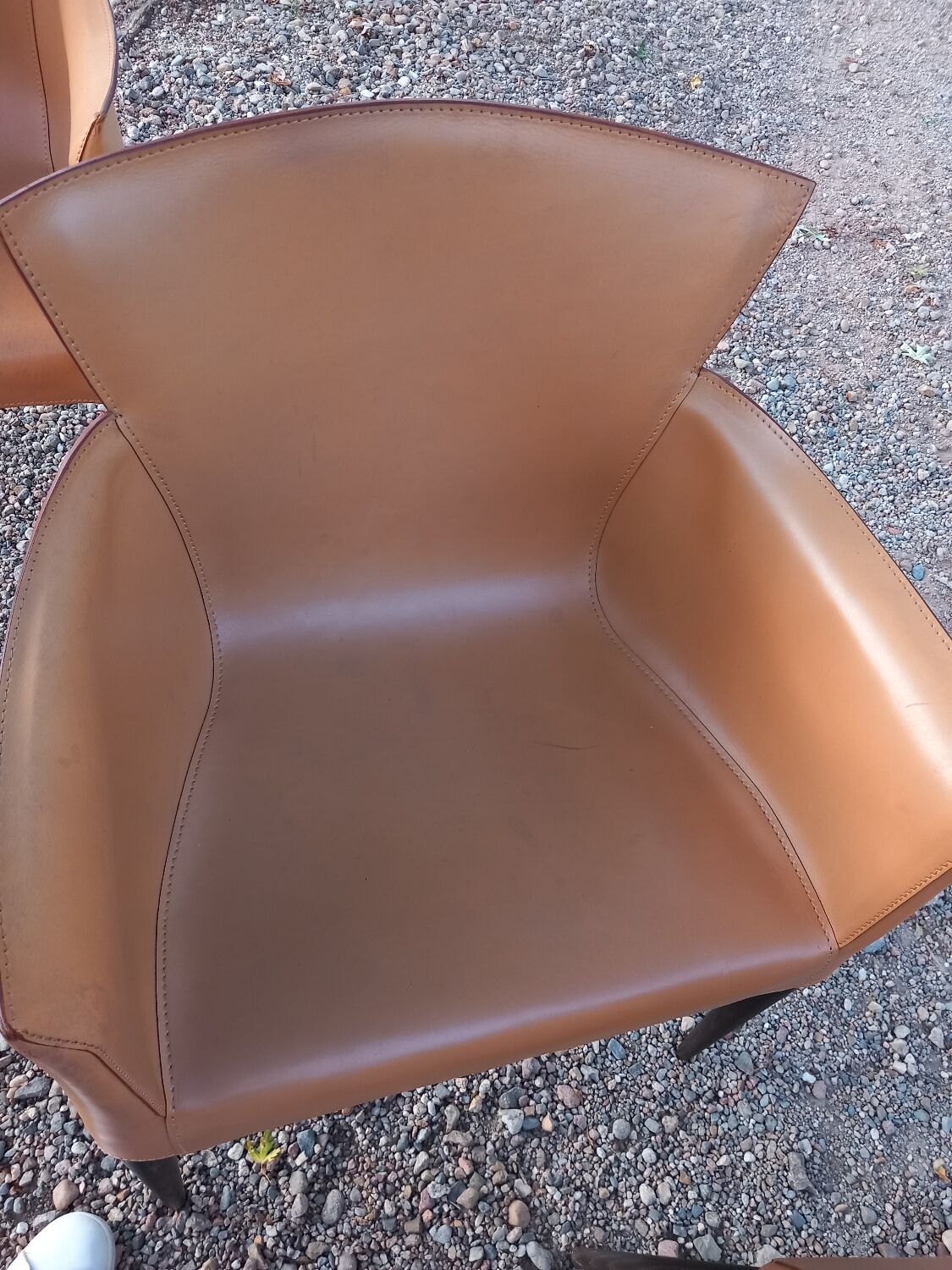 Set of 4 Vela chairs by Carlo Bartoli for Matteo Grassi