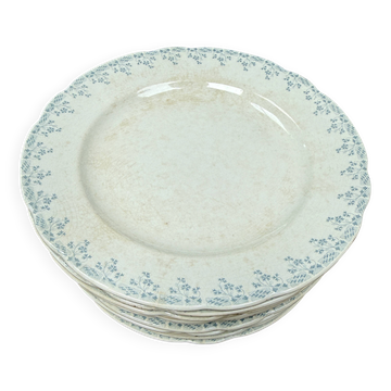 Flat plates ironstone Orchies Cérès