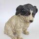 Chien en terre cuite peinte