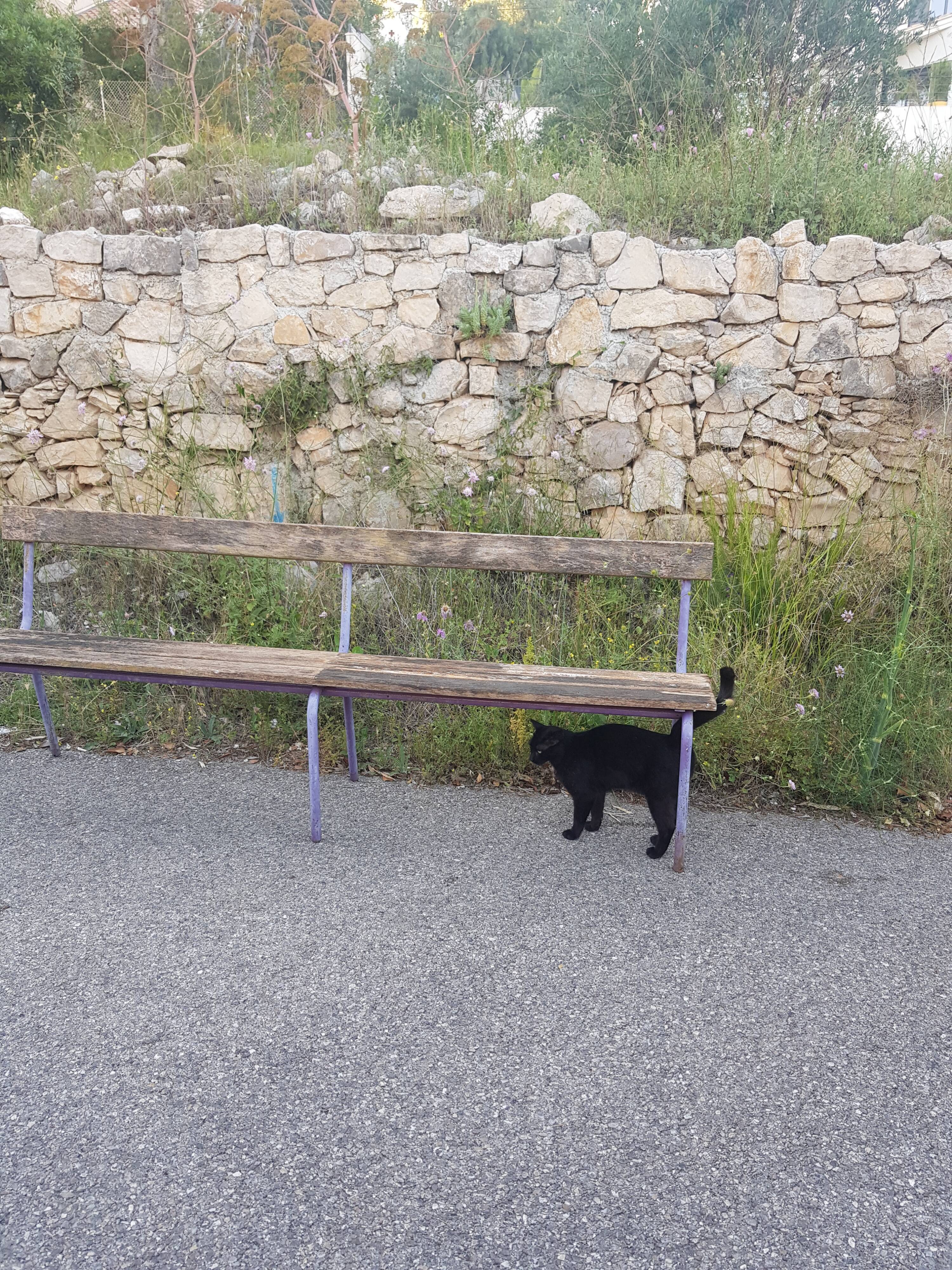 Vintage double bench
