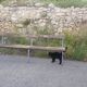 Banc double vintage