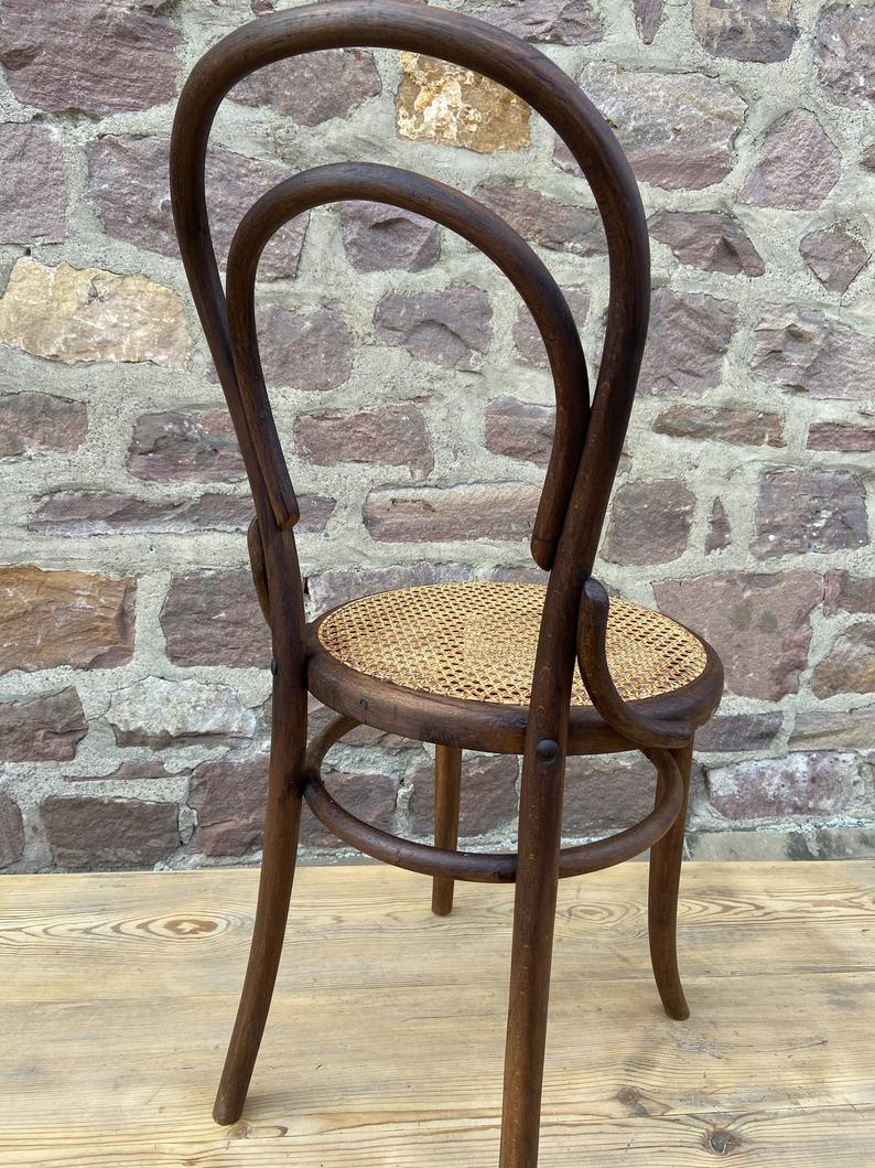 Tuna and curved wooden bistro chair
