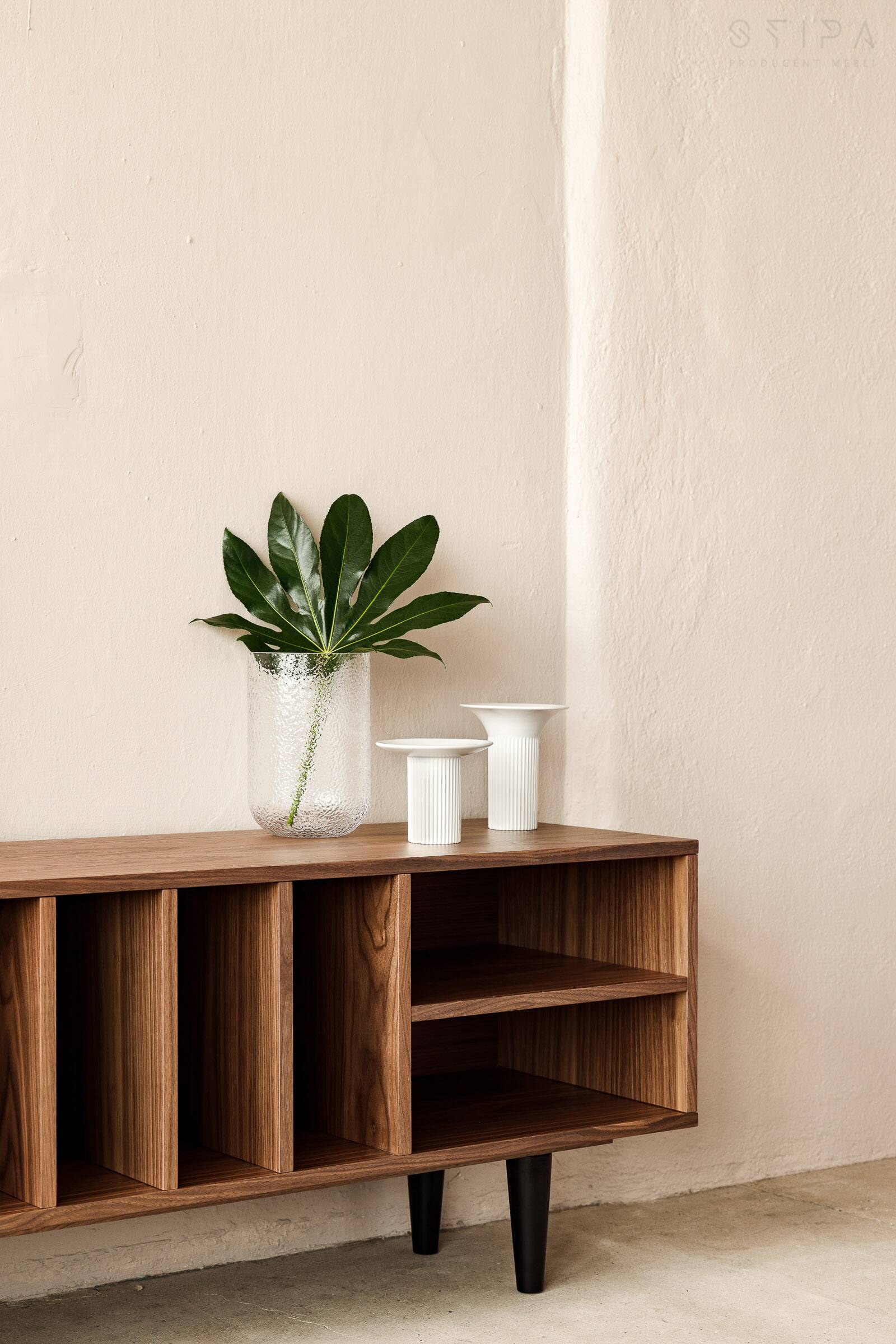 Vinyl Record Storage Cabinet Walnut "Silene"