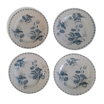 Set de 4 assiettes plates clairefontaine