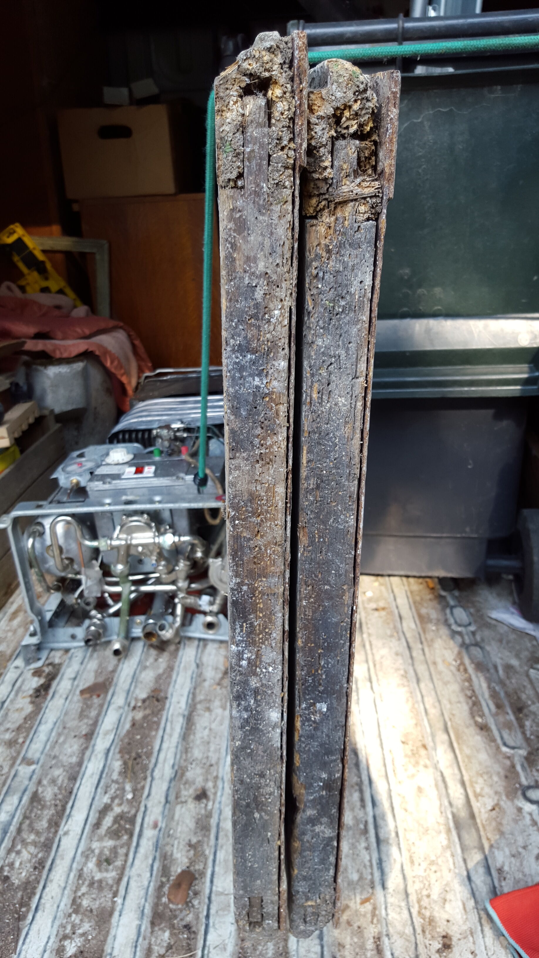 Pair of doors XVIII