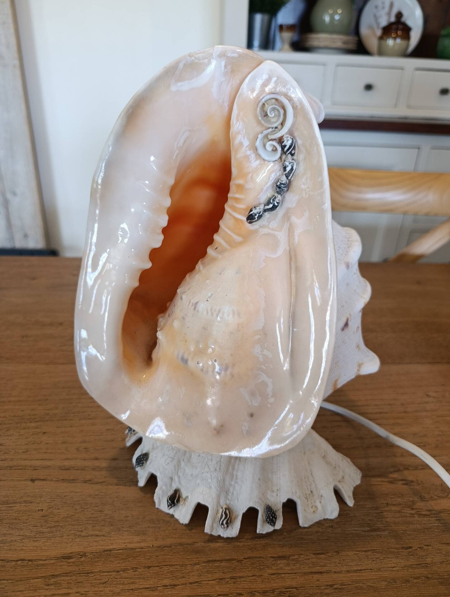 Lampe coquillage vintage