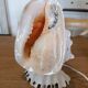 Lampe coquillage vintage