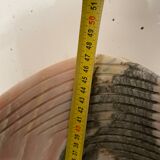 Pink marble fish 1980