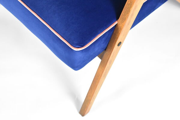 Fauteuil vintage B310 VAR « Compas » Pologne super restauré, années 1960, velours bleu et rose