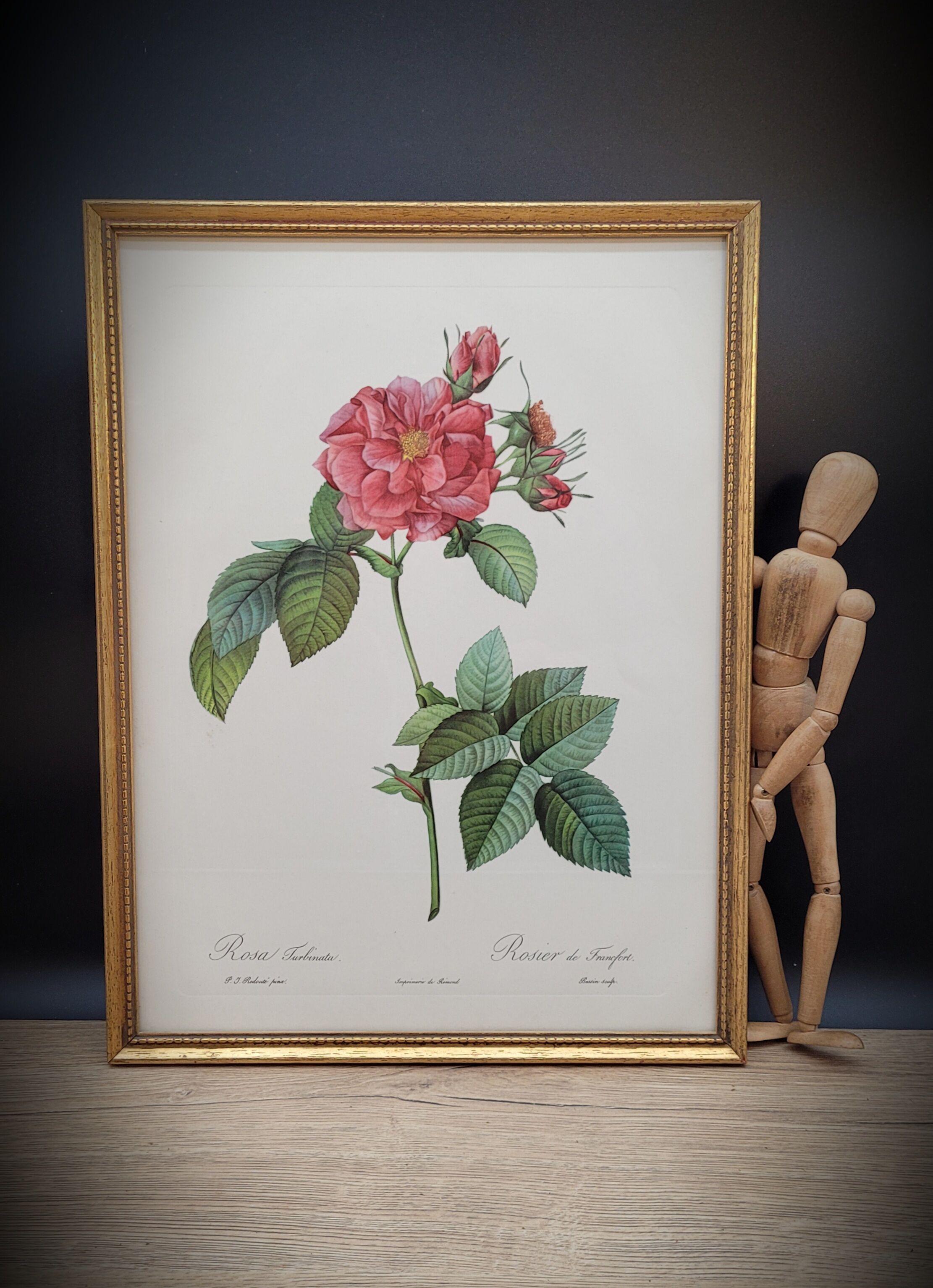 Lithograph Rosier Frankfurt