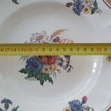 Set of 6 Digoin hollow plates
