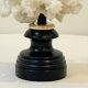 Antique natural white bush coral on wooden base Napoleon III cabinet of curiosities