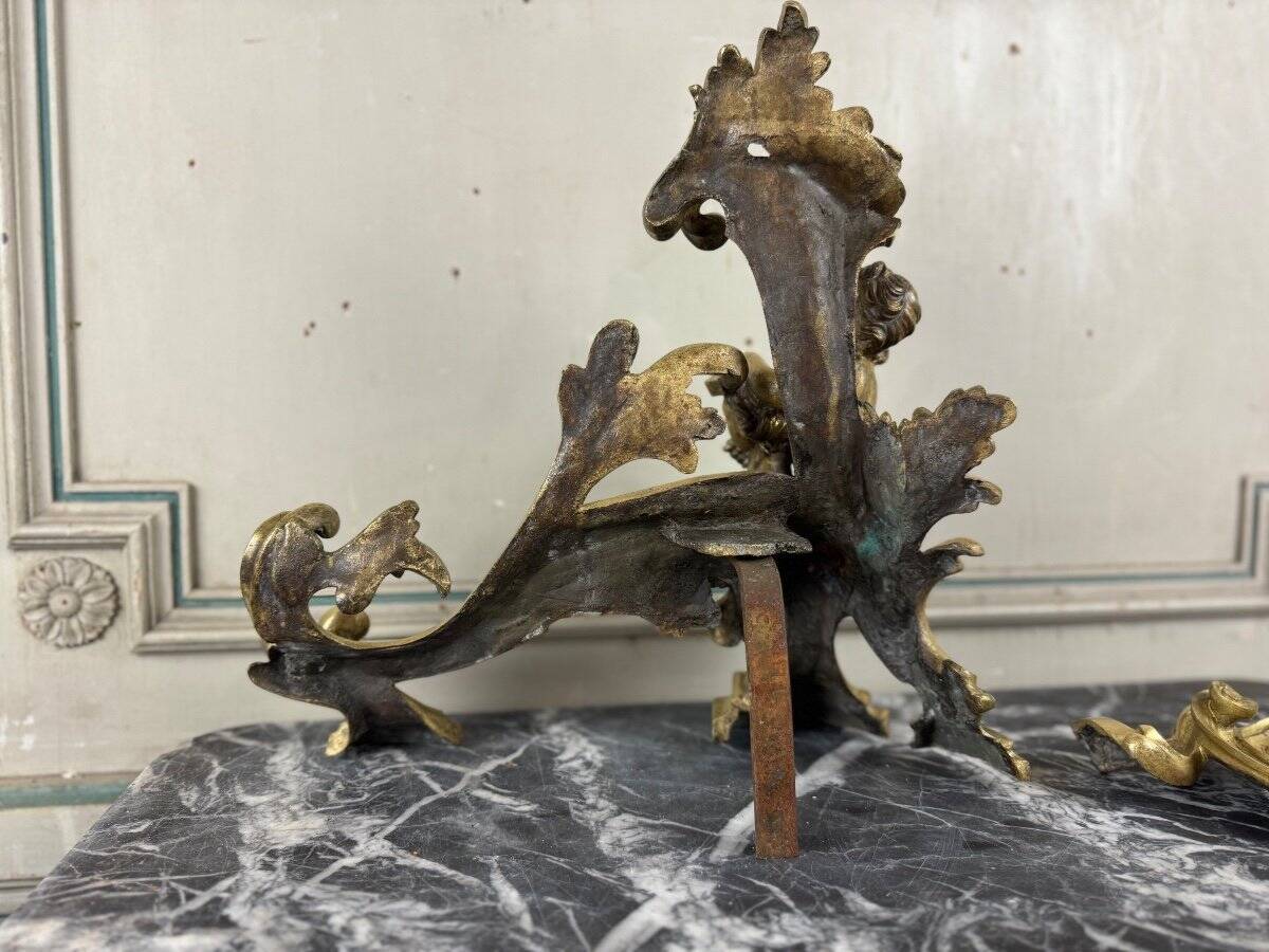 Paire de chenêts en bronze ciselé et doré d'après un modèle de Jacques Caffieri, Paris XIXème