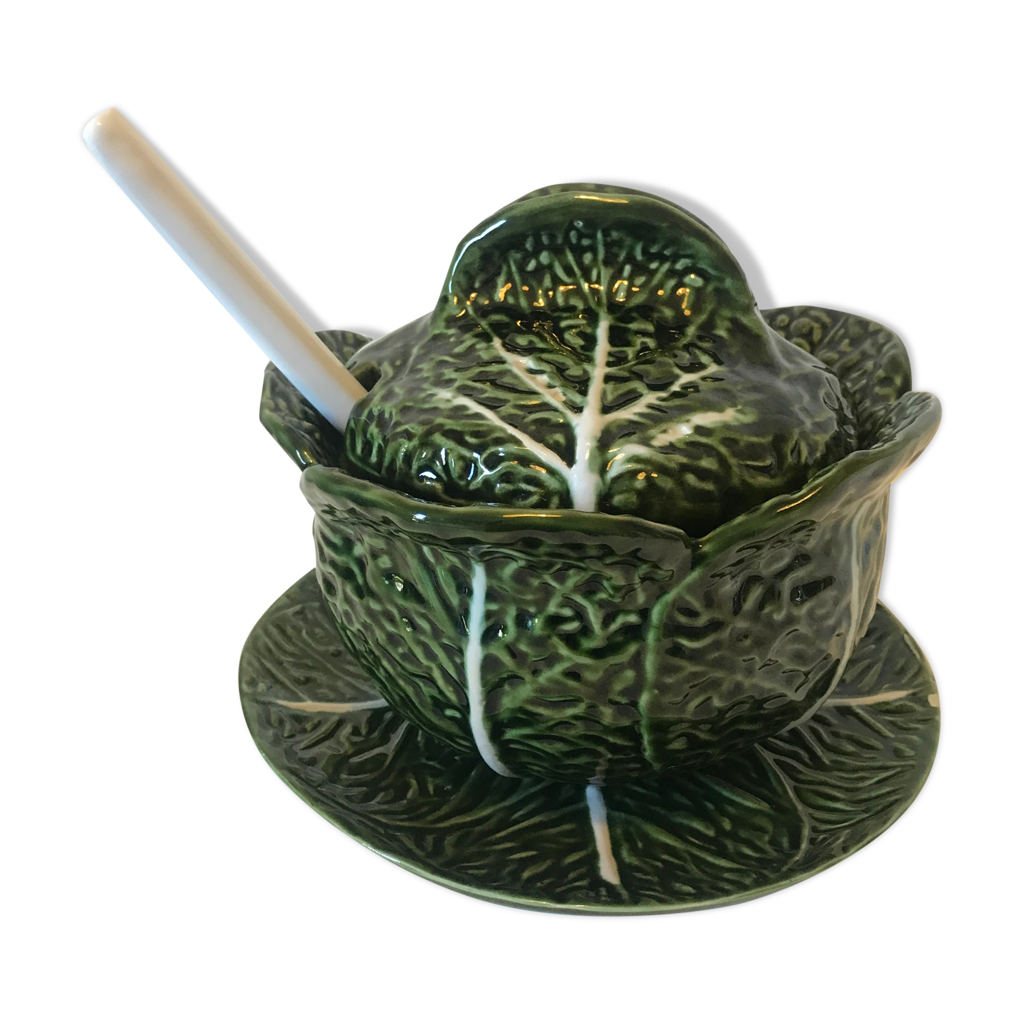 Soup dabbling cabbage shape