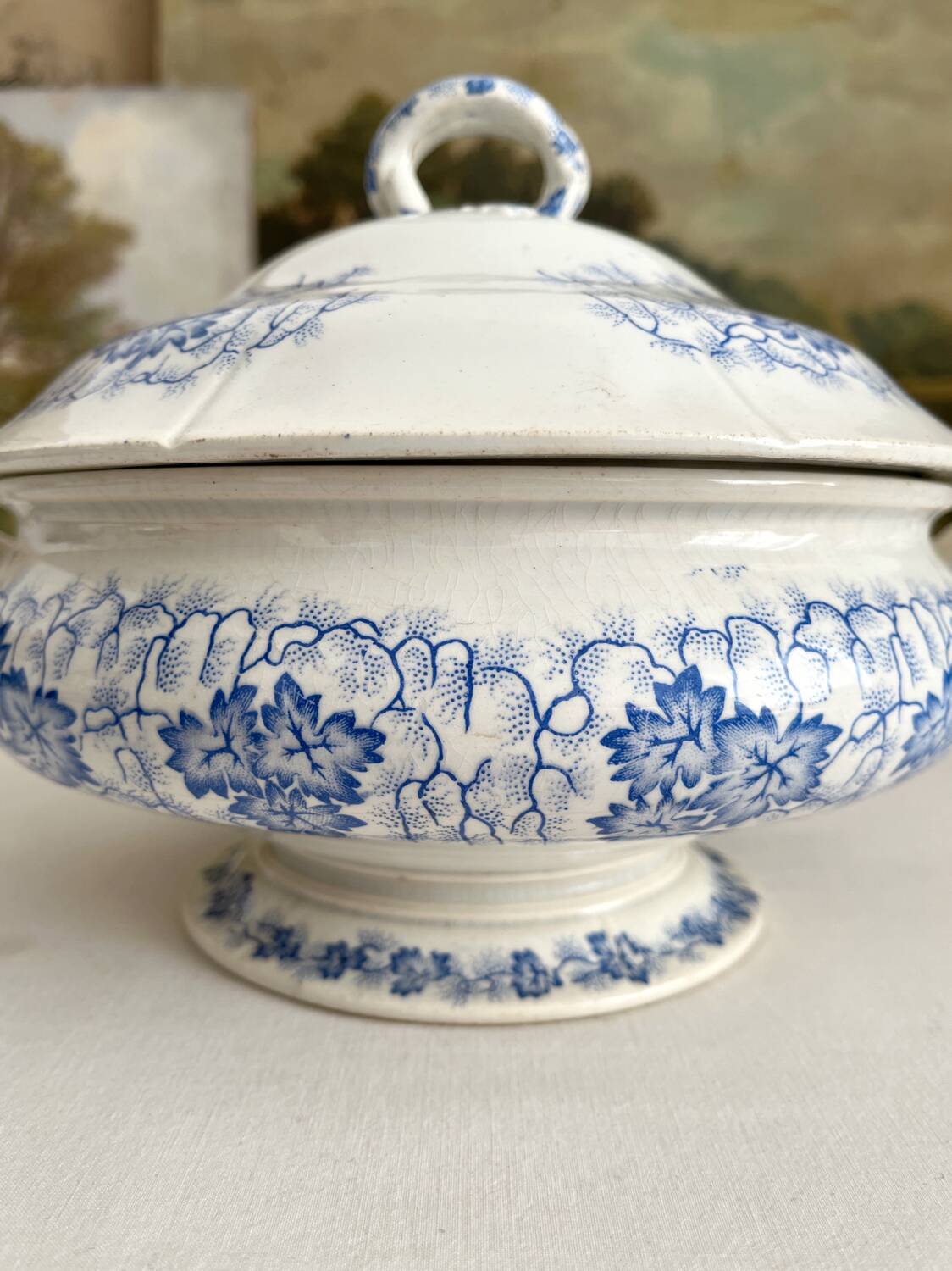 Antique ironstone tureen “Flora Lichen” Creil and Montereau