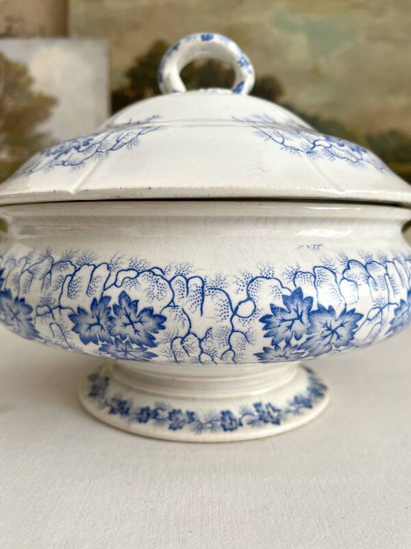 Soupière ancienne en terre de fer « Flora Lichen » Creil et Montereau