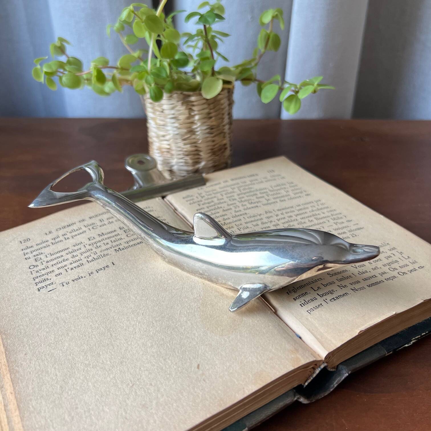 Dolphin bottle opener