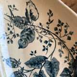 Empty pocket Boutras iron earth